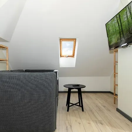 Family House Viking - Garden, Playground & Grill By Renters * Kołczewo